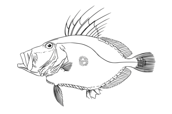 Funny Fish Line Art Drawing: A Playful Graphic Design Freebie